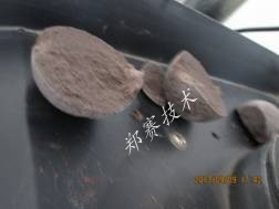 郑赛尾矿成球技术