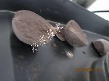 郑赛尾矿成球技术