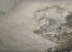 化工罐的防腐抗渗案例