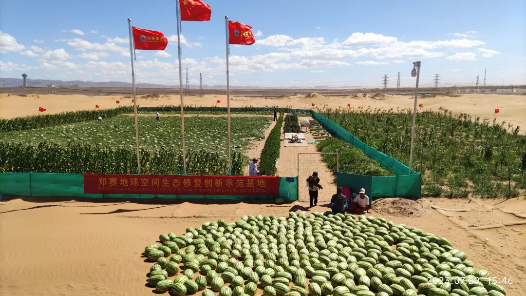 郑赛修护在腾格里沙漠创造 “绿色奇迹”用比传统节省50%的水让沙漠变绿洲